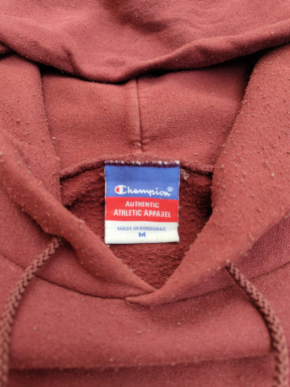 Harvard Champion hoodie